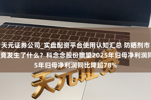 天元证券公司_实盘配资平台使用认知汇总 防晒剂市集2025年究竟发生了什么？科念念股份瞻望2025年归母净利润同比降超78%