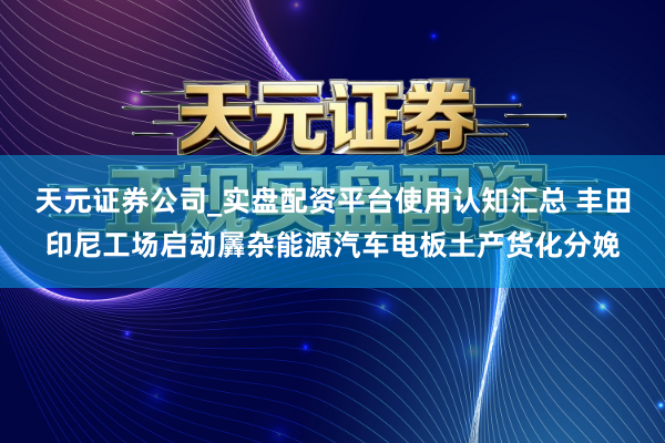 天元证券公司_实盘配资平台使用认知汇总 丰田印尼工场启动羼杂能源汽车电板土产货化分娩