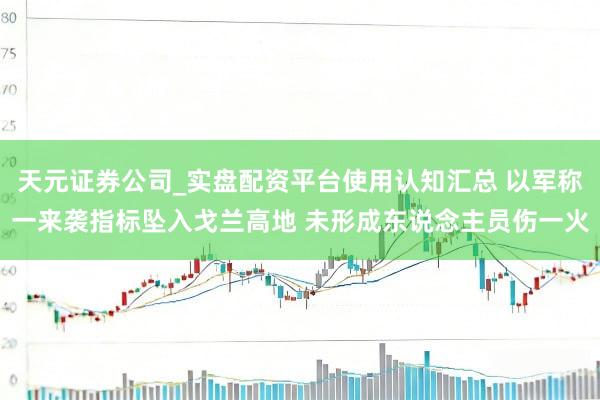 天元证券公司_实盘配资平台使用认知汇总 以军称一来袭指标坠入戈兰高地 未形成东说念主员伤一火