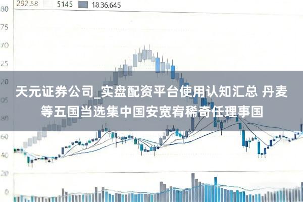 天元证券公司_实盘配资平台使用认知汇总 丹麦等五国当选集中国安宽宥稀奇任理事国